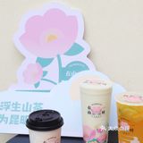 昆明｜这个夏天粉嫩奶茶店·鲜花茶饮