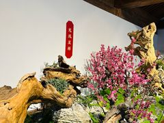 -颐和园