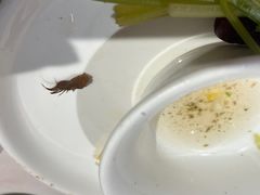 -八合里潮汕鲜牛肉火锅(万科里店)