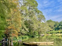 -深圳仙湖植物园