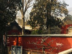 -泰山风景名胜区-普照寺