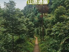 -青城山