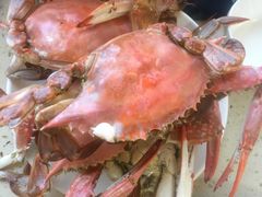 -港畔赶海蒸汽海鲜烧烤自助(仙螺岛店)