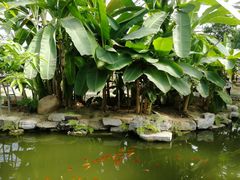 -南通洲际绿博园