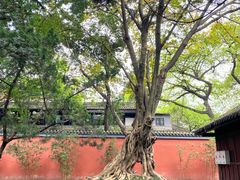 -成都武侯祠博物馆