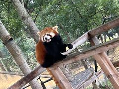 -乐和乐都主题乐园