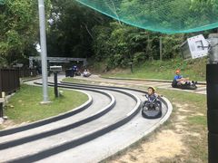 -圣淘沙天际线斜坡滑车