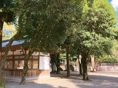 -水前寺成趣园