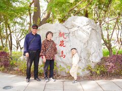 -金鸡湖桃花岛