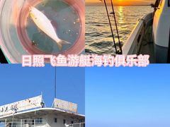 -日照海滨国家森林公园
