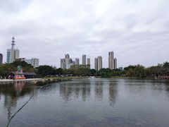 -映月湖公园