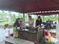 -春花秋色城市公园