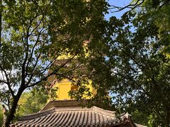 -阿育王寺