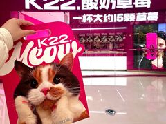 -K22.酸奶草莓(烟台芝罘店)