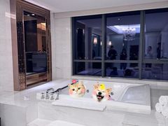 -郑州美盛喜来登大酒店