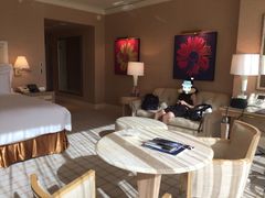 -拉斯维加斯永利酒店