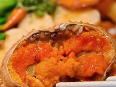 -桂满陇·海市蜃楼·黑金(国金店)