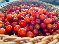 -象山村腊排骨(丽江总店)