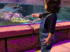 -波塞冬旅游度假区