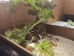 -湘邻呷铺·田园家宴(汉基广场店)