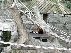 -上海野生动物园