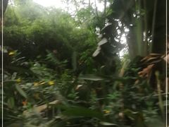 -海南热带野生动植物园
