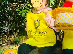 -狮子妈妈托育早教幼儿园(岳麓店)