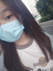 点击看大图 -金棕榈