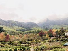 -塔川景区