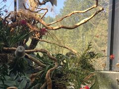 -北京植物园-展览温室