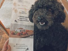 -the rug 飞毯 (朝阳公园店)