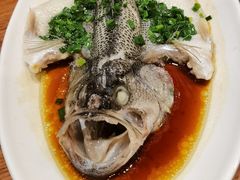 葱香鲈鱼-晋家门(弘阳广场店)