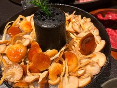 -季季山·云南野生菌火锅(上海首店)
