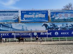 专业比赛场地，环境非常棒-大连凯洋马术俱乐部有限公司