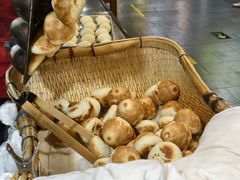 -星隆国际·芜湖小吃街