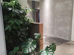 -东莞植物园