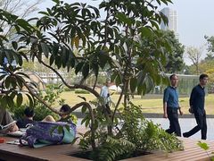 -SAANCI山池咖啡(海上世界文化艺术中心店)