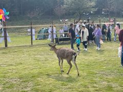 -黄陂区野村谷景区