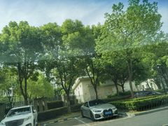 -The lounge 柏悦酒店大堂酒廊(上海环球金融中心店)