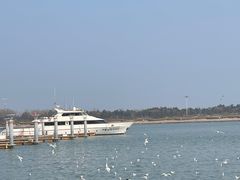 -日照灯塔风景区