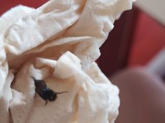 -茶理宜世(东方宝泰店)