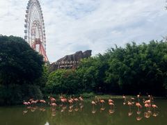 -芽庄珍珠岛游乐园