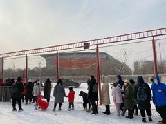 -沈阳奥体冰雪嘉年华