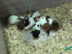 -嘉文梦想世界(SM天津滨海城市广场店)