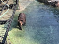 -深圳野生动物园