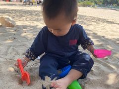 -南丫岛