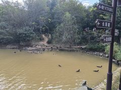 -泉州海丝野生动物世界