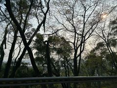 -鼓岭旅游度假区