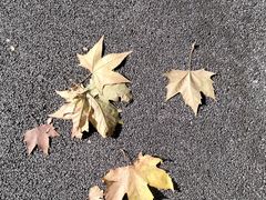 -江苏省美术馆(长江路新馆)