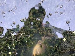 -乡乐园蟹庄·阳澄湖农家乐